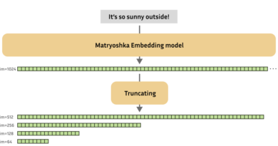 Embeddings Model
