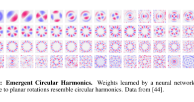 Unveiling Fourier Features: A New Mathematical Theory in Neural Networks