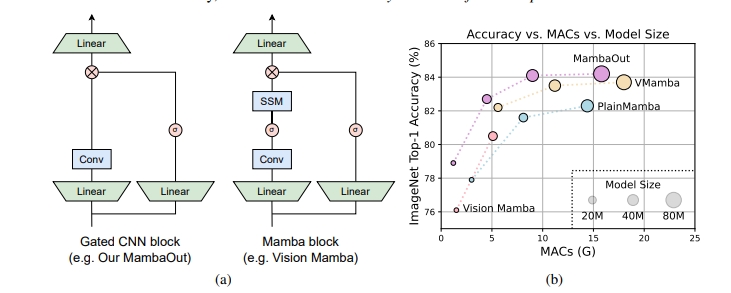Streamlining Neural Networks with MambaOut for Superior Image Classification