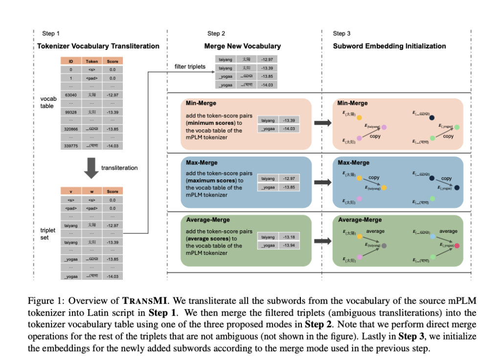 Overview of TRANSMI