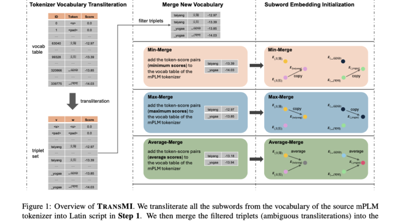 TRANSMI: Advanced Solution for Handling Transliterated Data in NLP